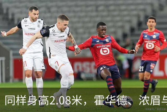同样身高2.08米，霍华德、浓眉与弗拉格的独特之处
